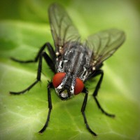 /album/umele-vodne-nadrze-na-slovensku/photolia-a01-jpg/