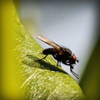 /album/umele-vodne-nadrze-na-slovensku/photolia-a04-jpg/