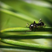 /album/umele-vodne-nadrze-na-slovensku/photolia-a05-jpg/
